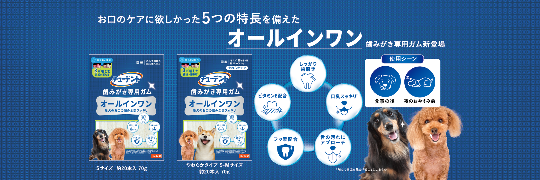 チューデント 歯みがき専用ガム オールインワン