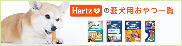 愛犬用おやつ一覧